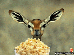 impala popcorn.gif