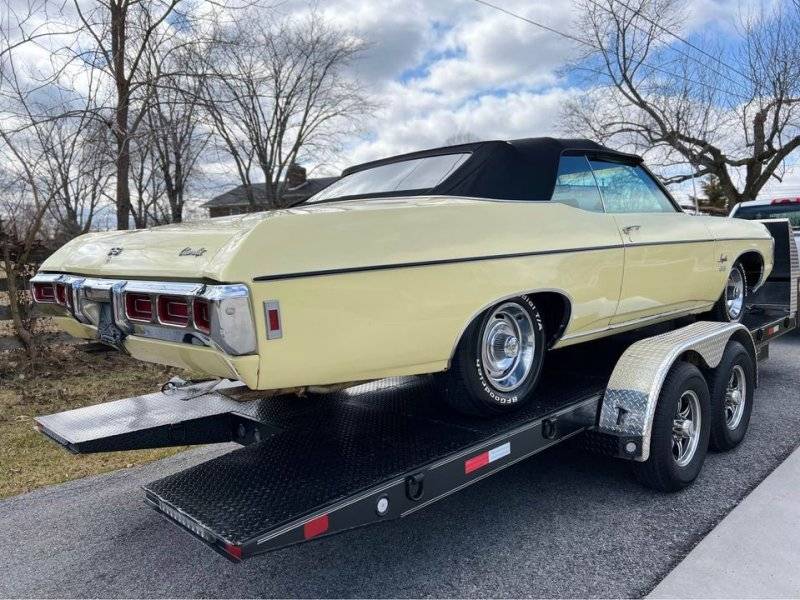 impala2.jpg