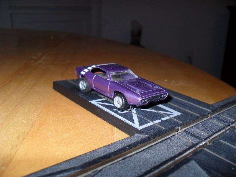 In-Violet road runner.jpg