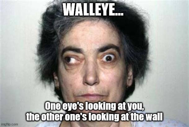 indexqety.jpg