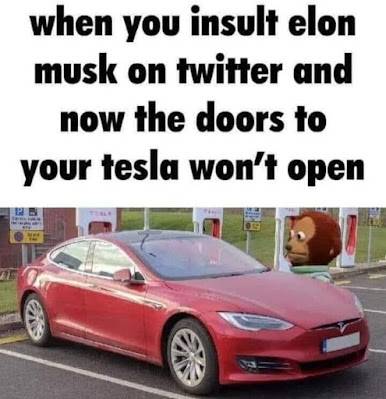 Insult Elon.jpg