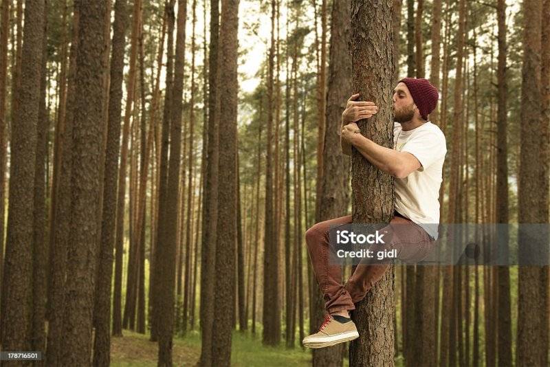 istockphoto-178716501-1024x1024.jpg