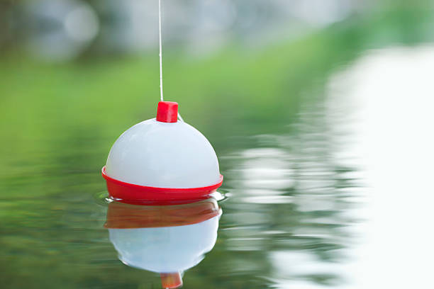 istockphoto-454216529-612x612.jpg