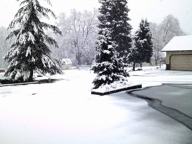 Jan. 16 2023 Snow 005.JPG