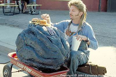 joe dirt.jpg