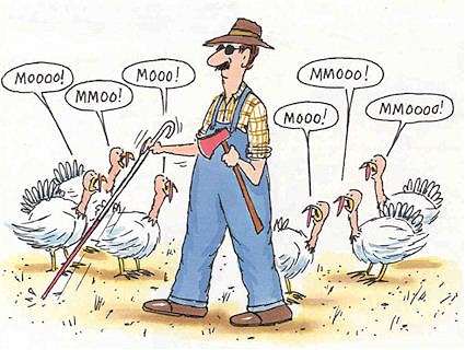 joketurkey.jpg