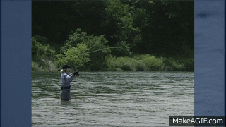 jQD7F9.gif