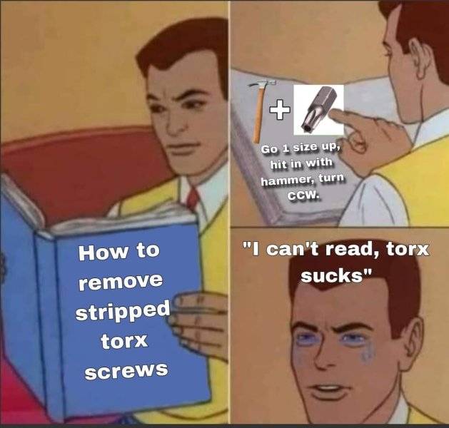 just-use-it-as-intended-torx-does-not-suck-v0-uxz3qhj9gh8d1-520485378.jpeg