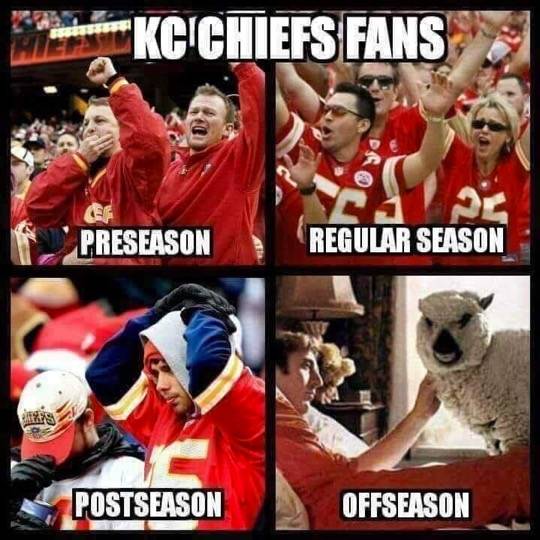 KC Cheifs Fans preseason season post season - off season sleeps mwith sheep.jpg