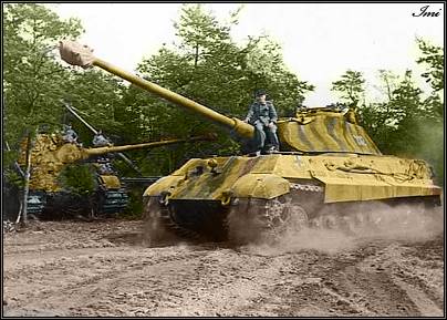 kingtigerii+copy.jpg