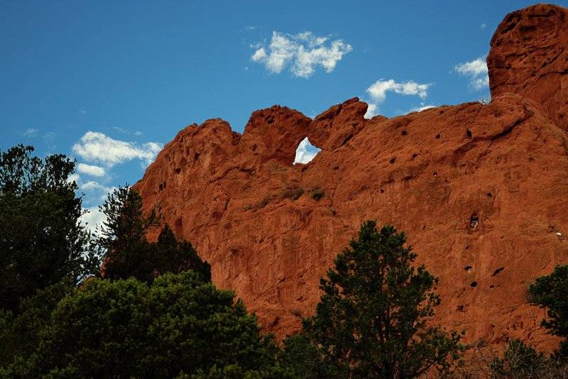 kissing camels..jpg