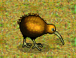 kiwi-smiley-emoticon.gif