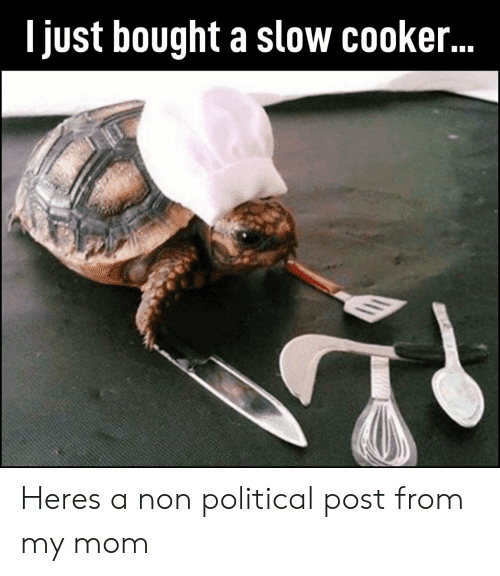 l-just-bought-a-slow-cooker-heres-a-non-political-45805432.png