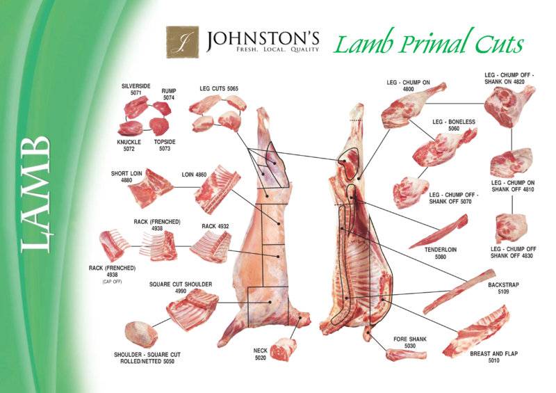 Lamb Meat parts.jpg