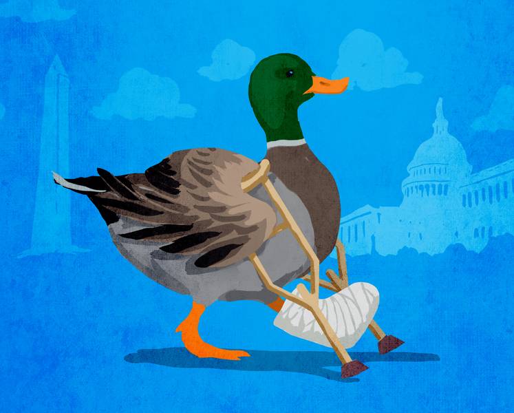 lame_duck.jpg