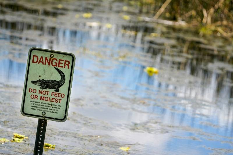largo-park-frisbee-alligator-warning-3.jpg