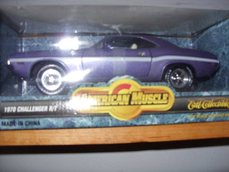 LAST 118 SCALE CAR PICS 003.JPG