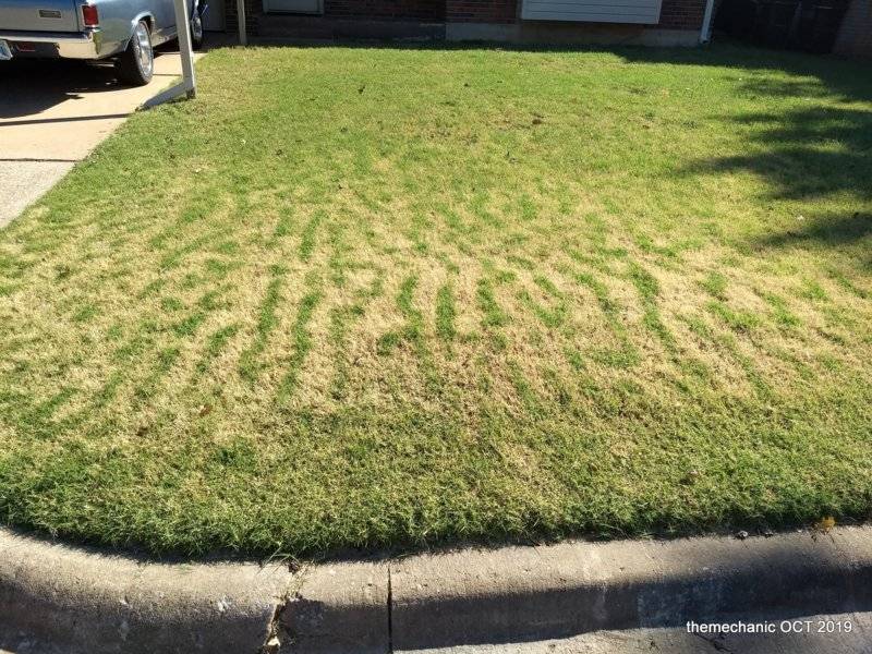 lawn stripes 2.jpg