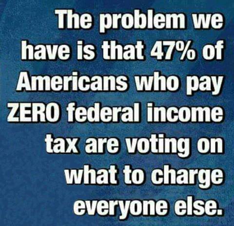 Liberal 47% that don't pay taxes that vote democrat.jpg