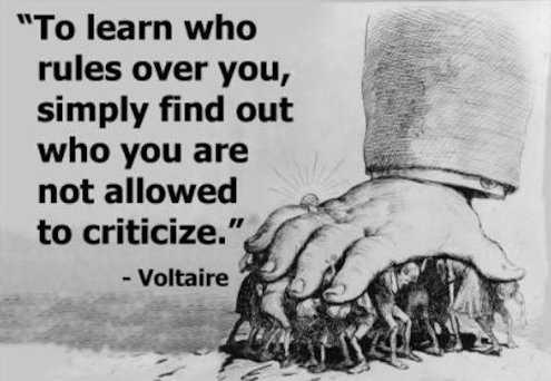 Liberal becoming like Voltaire's quote.jpg