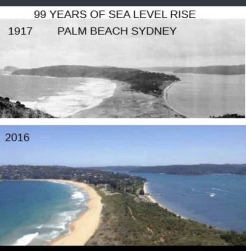 Liberal Climate Change 1917-2016 - 99 years of Sea Rise Palm Beach Sydney.jpg