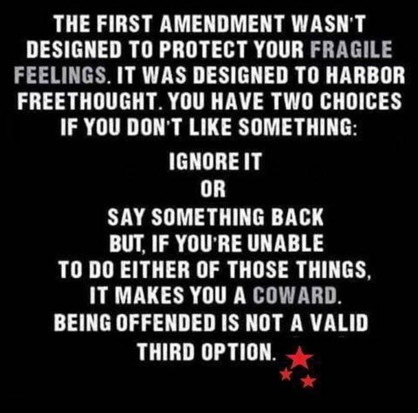 Liberal D) Easily Offened Snowflakes & my 1st Amendment.jpg