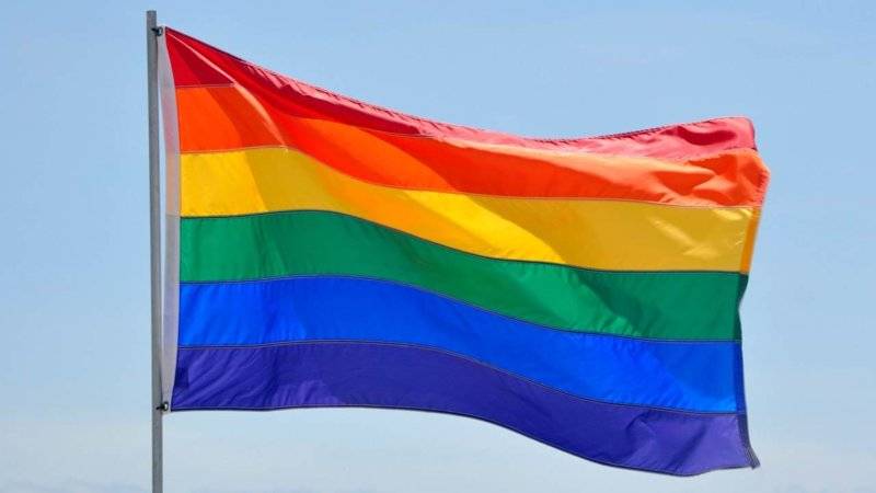Liberal Fag Flag.jpg