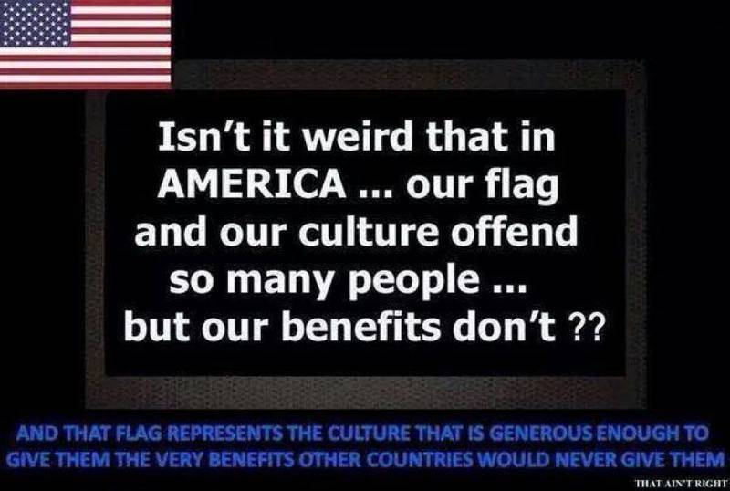 Liberal Hypocrites & Immigration hates our country but not the benefits.jpg