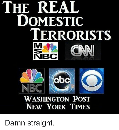 Liberal Media -MSM the real domestic terrorists-.png