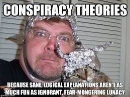 Liberal tin foil hat Conspiracy Theories are more fun -guy & cat-.jpg
