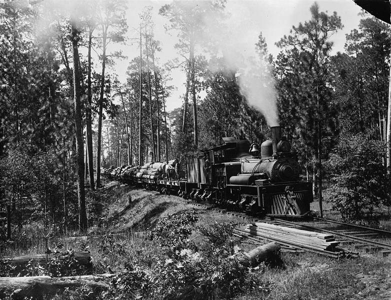 Log_train_01.jpg