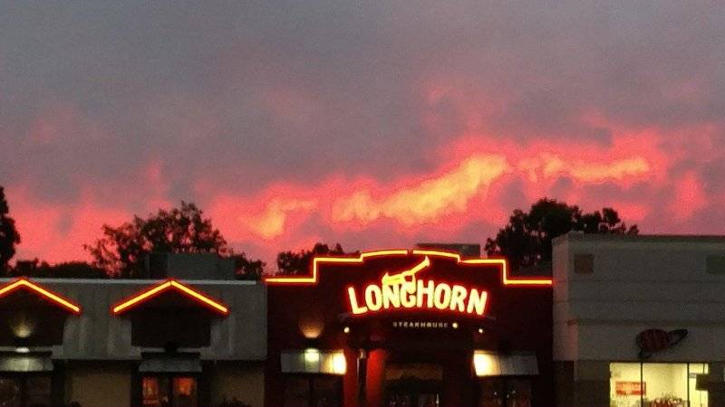 longhorn.jpg