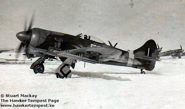 mackay-22.jpg