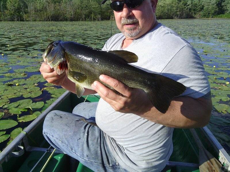 markbass1.jpg