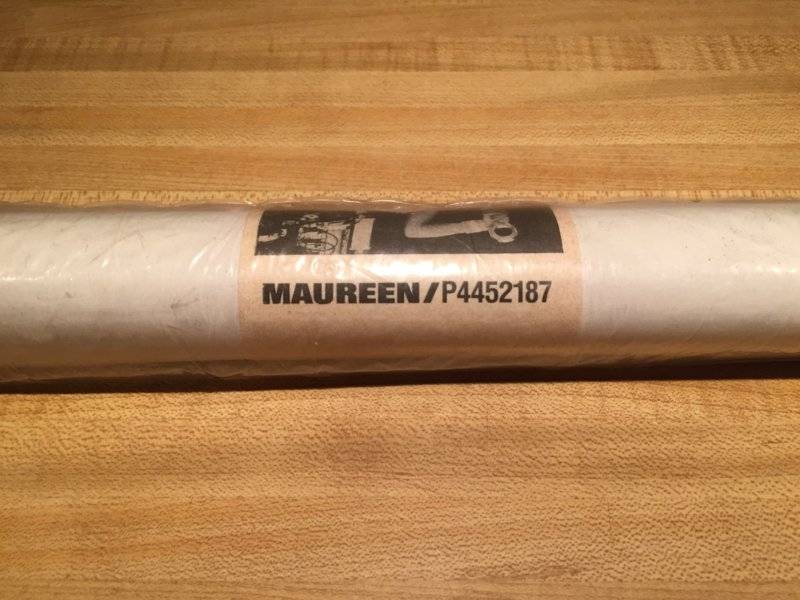 maureen 3.jpg