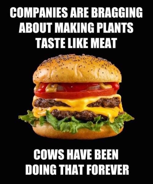 Meat Fake meat taste like beef - cows have been doing that forever.jpeg