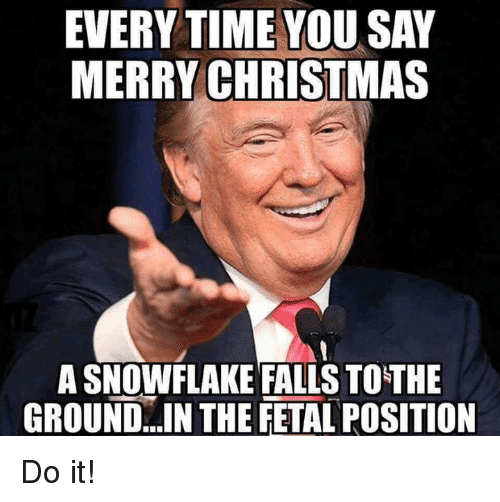 Merry-Christmas-Memes-Funny.png