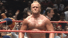Messenger_creation_C16D2E0C-A528-4DE4-A5CA-8327BB5FD0CA.gif