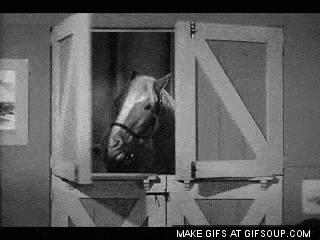 Mister-ed-o.gif