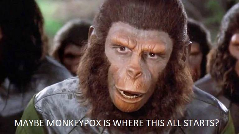 monkeypox.jpg