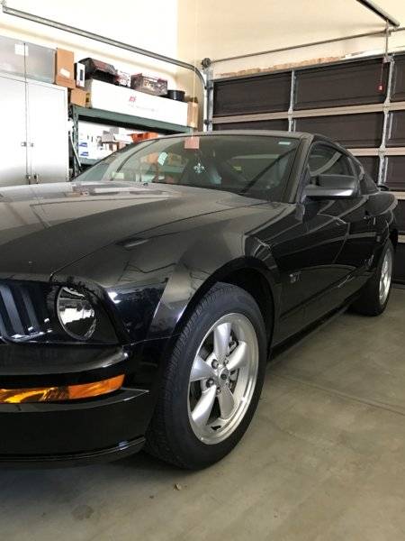 Mustang.jpg