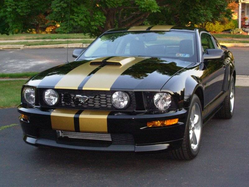 Mustang_Front2.jpg