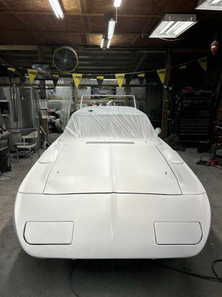 My Superbird in primer F.jpg