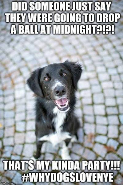 new-years-eve-meme-30.jpg