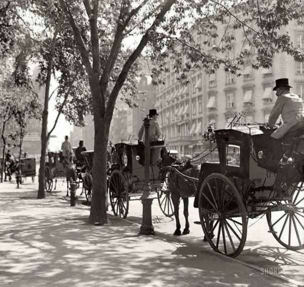 new york 1900.jpg