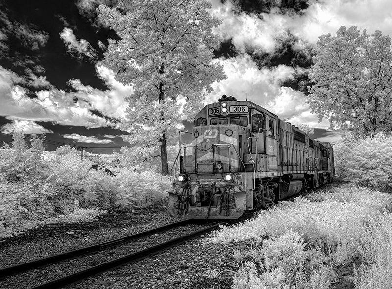 NIKON%20D3300__DSC1367-2-bw-800.jpg