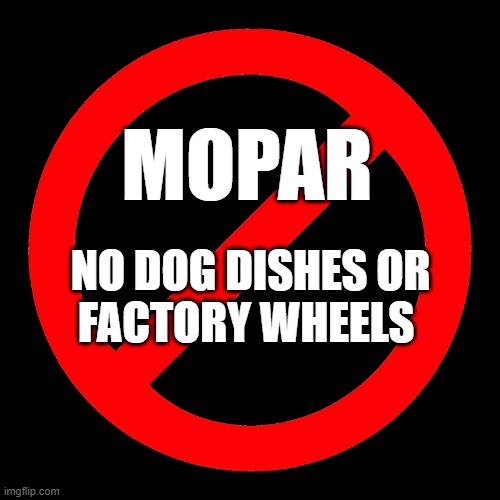 No dog dishes.jpg