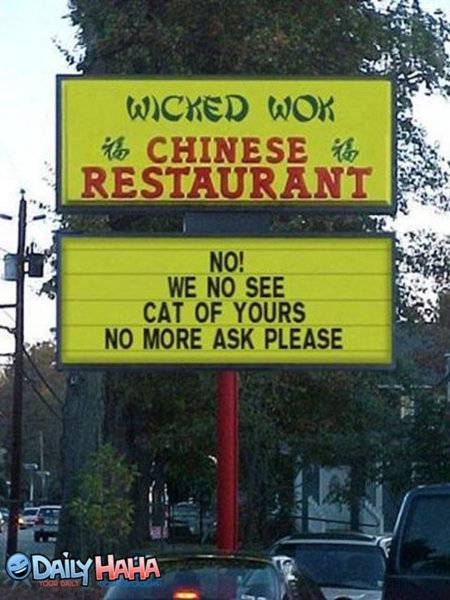 no_see_your_Cat.jpg