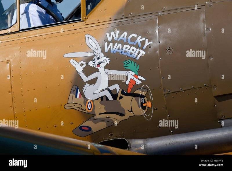north-american-t-6-harvard-texan-wacky-wabbit-with-nose-art-at-the-M3FR42.jpg