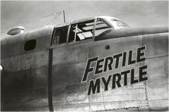 nose-art-fertile-myrtle_u-l-q1k4auv0.jpg